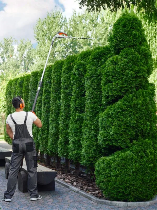 Ihr grünes Aushängeschild