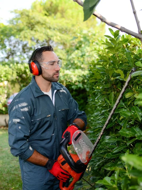 Das Wissen macht den Unterschied